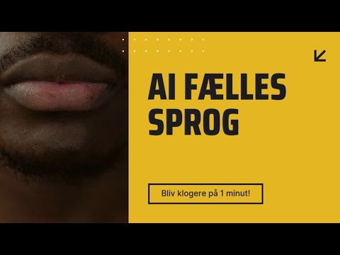 AI - FÅ ET FÆLLES SPROG på 1 minut