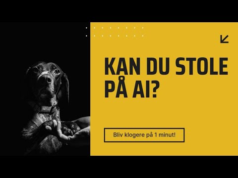 KAN DU STOLE PÅ AI ? - forklaret på 1 minut
