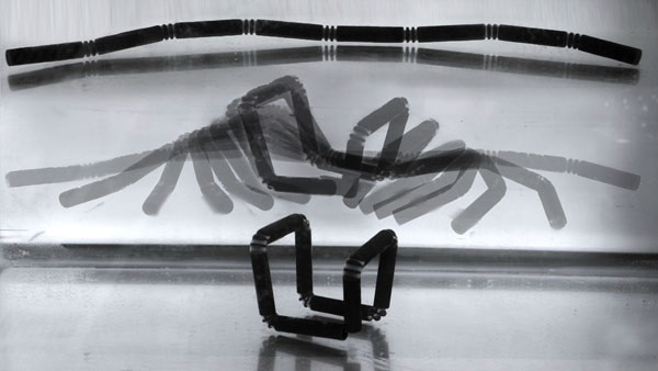 4d print