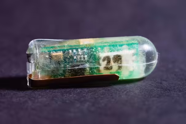 Du store, store verden – om radikal innovation