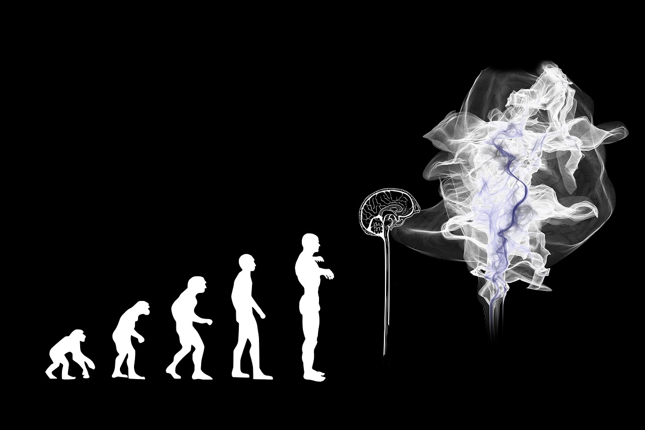 Kunstig intelligens bliver kæmpestort i 2019