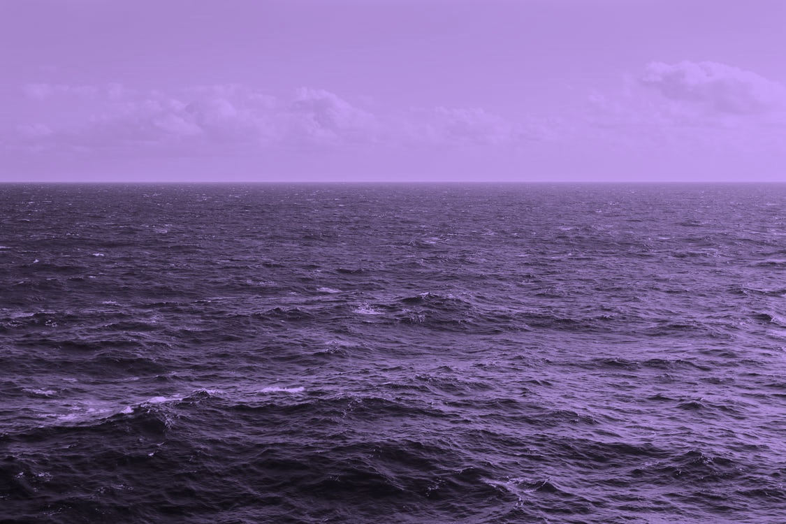 Der findes ikke blå oceaner. Kun et lilla verdenshav!